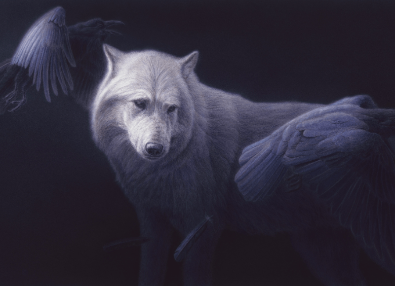 The Ravens and The Wolf - Renso Tamse
